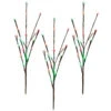 Piquets De Jardin Holiday Living Avec Lumières DEL Scintillantes Rouges Et Vertes, 30 Po, Paquet De 3