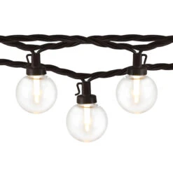 Guirlande De Lumières DEL En Forme De Globe Danson Decor, Blanc Chaud, 40 Ampoules, 39 Pi