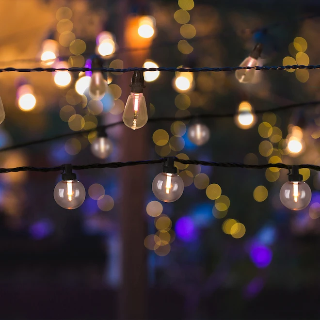 Guirlande De Lumières DEL En Forme De Globe Danson Decor, Blanc Chaud, 40 Ampoules, 39 Pi 3 Guirlande De Lumières DEL En Forme De Globe Danson Decor, Blanc Chaud, 40 Ampoules, 39 Pi – Image 3