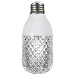 Ampoule Gemmy Intérieur/extérieur DEL C9 Lumière Blanche