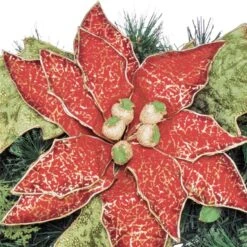 Couronne Décorée Intérieure/extérieure Henryka, 30 Po, Grand Poinsettia -Décoration De Noël 330747140 AlternateImage2 l