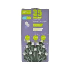 Guirlande De Lumières De Noël à DEL IH Casa Decor Intérieur/extérieur Blanc Froid De 9,41 Po, 35 Lumières