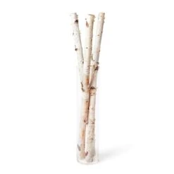 Branche De Bouleau De 40 Po Par Brookdale Treeland Nurseries, Ens. De 3 -Décoration De Noël 331063537 AlternateImage2 l