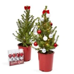 Épinette D'Alberta Avec Petits Ornements Et Lumières à DEL Par Brookdale Treeland Nurseries De 25 Po, Ens. De 2 -Décoration De Noël 331063541 AlternateImage2 l