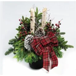 Arrangement De Verdure De Noël En Pot Par Brookdale Treeland Nurseries De 30 Po