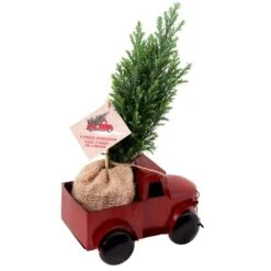 Camionnette Décorative Avec Petit Sapin De Noël Naturel Par Tropi Co De 12 Po, Ens. De 4 -Décoration De Noël 331065423 AlternateImage2 l