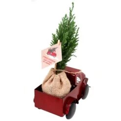 Camionnette Décorative Avec Petit Sapin De Noël Naturel Par Tropi Co De 12 Po, Ens. De 4 -Décoration De Noël 331065423 AlternateImage3 l