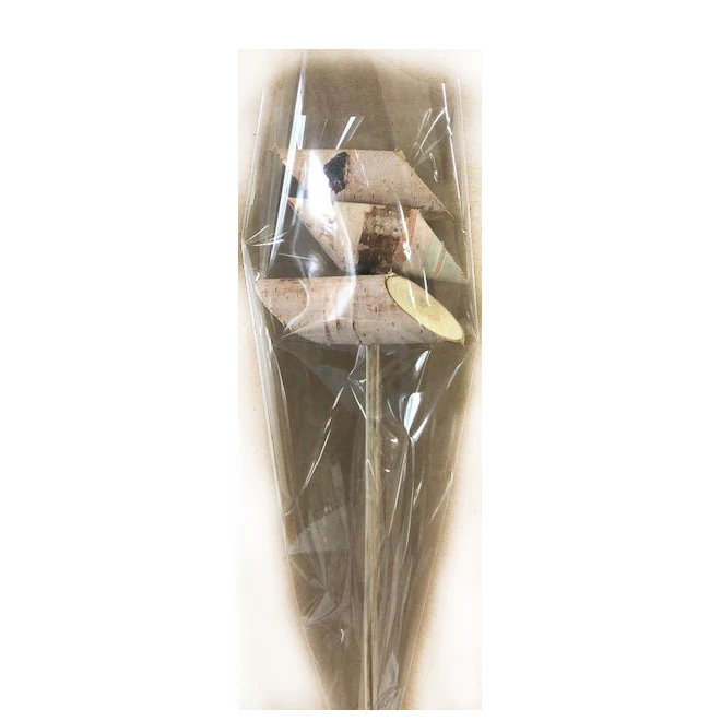 Bouleau Blanc Green Plus Nurseries Pour Décorer, 3 Bûches 1 Bouleau Blanc Green Plus Nurseries Pour Décorer, 3 Bûches