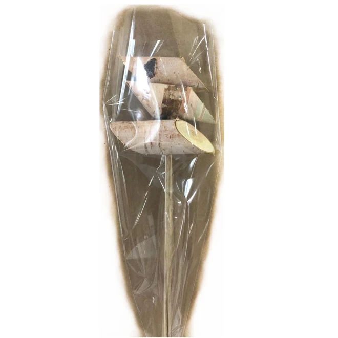 Bouleau Blanc Green Plus Nurseries Pour Décorer, 3 Bûches 2 Bouleau Blanc Green Plus Nurseries Pour Décorer, 3 Bûches – Image 2