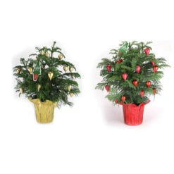 Pin Décoratif Norfolk, 4 Po